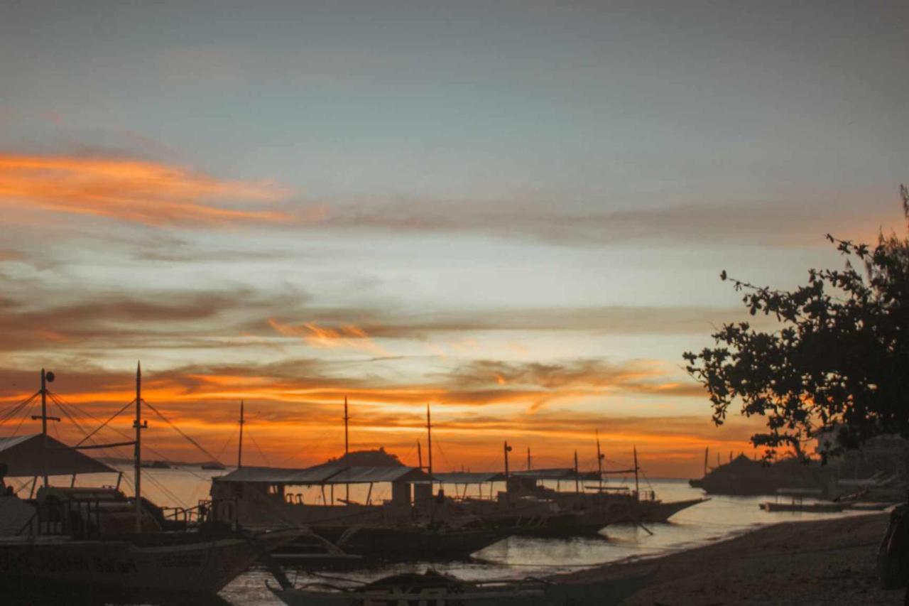 Blue Dolphin Hotel Malapascua Island Ngoại thất bức ảnh